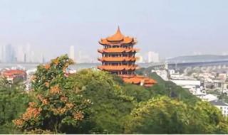 武当山最强到此一游 武当山最强到此一游
