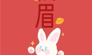 兔年拜年词简短 兔年拜年词简短